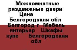 Межкомнатные раздвижные двери › Цена ­ 20 000 - Белгородская обл., Белгород г. Мебель, интерьер » Шкафы, купе   . Белгородская обл.